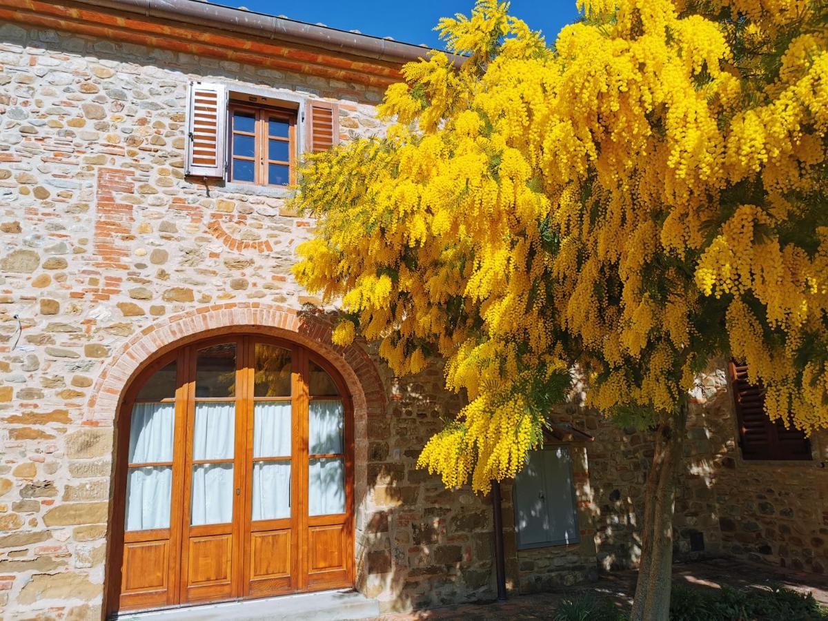Antico Borgo Frosini Villa Arezzo Bagian luar foto