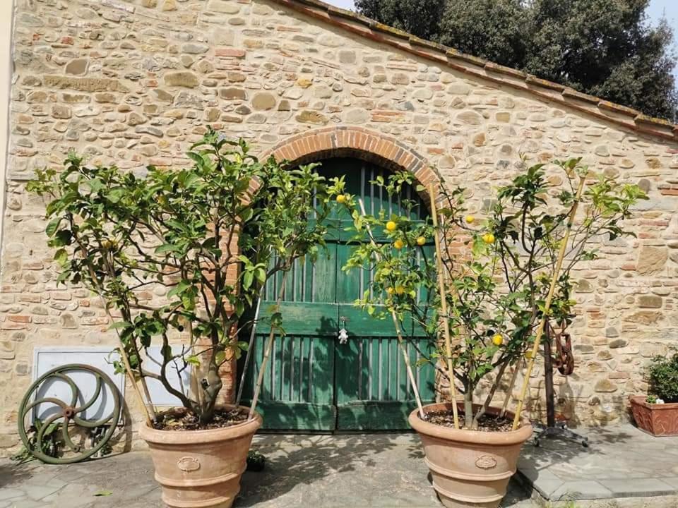 Antico Borgo Frosini Villa Arezzo Bagian luar foto